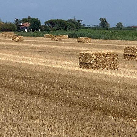 Agriturismo Ca' Alleata Caorle Luaran gambar