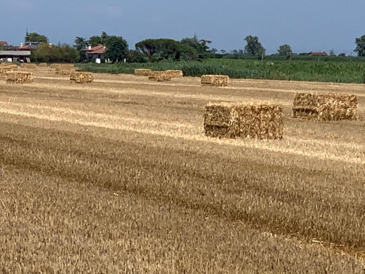 Agriturismo Ca' Alleata Caorle Luaran gambar