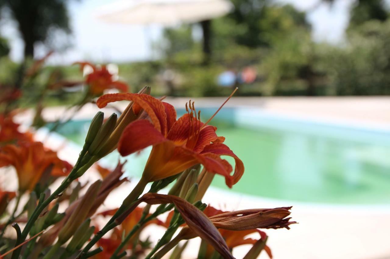 Agriturismo Ca' Alleata Caorle Luaran gambar