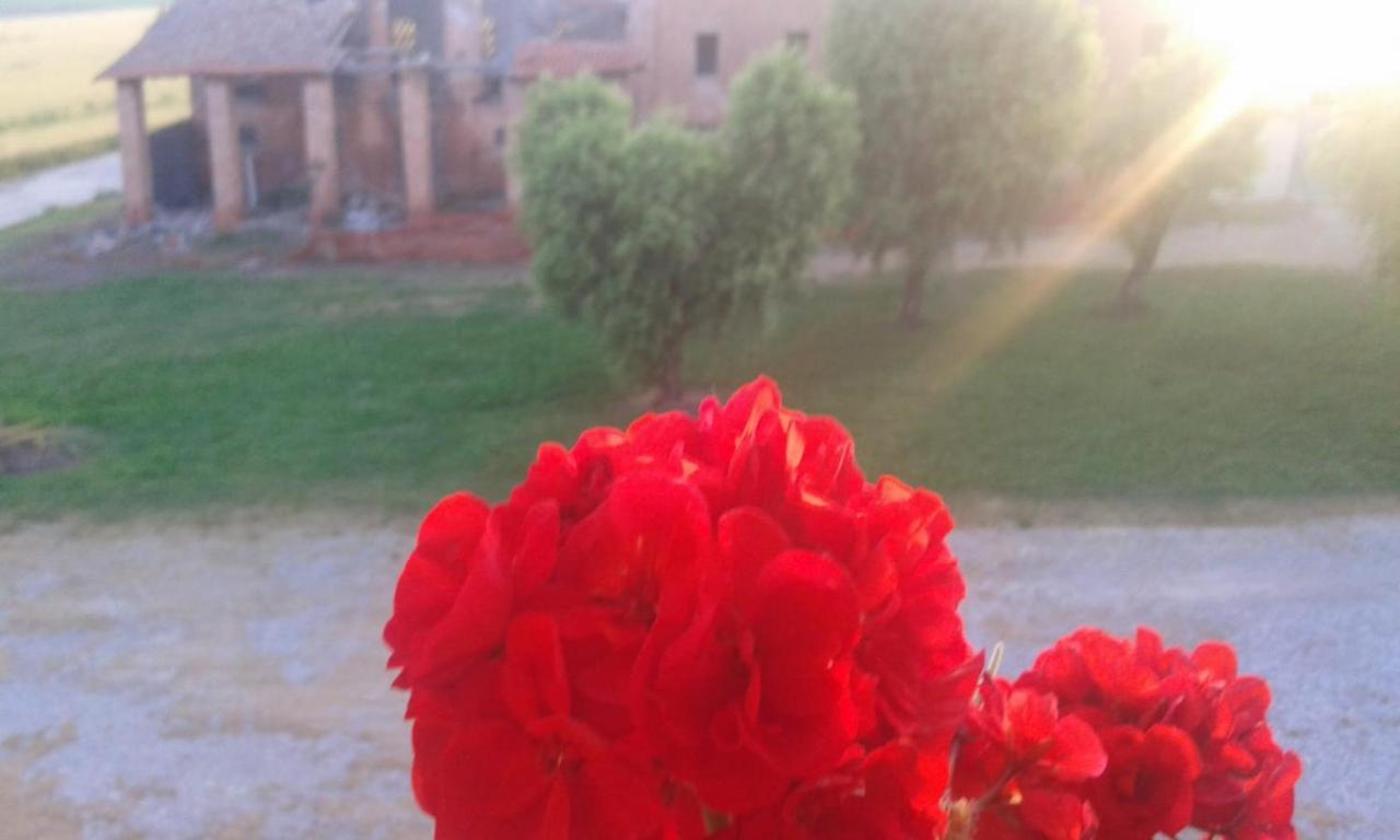 Agriturismo Ca' Alleata Caorle Luaran gambar